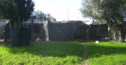 FINCA CON CASA EN VINARÒS