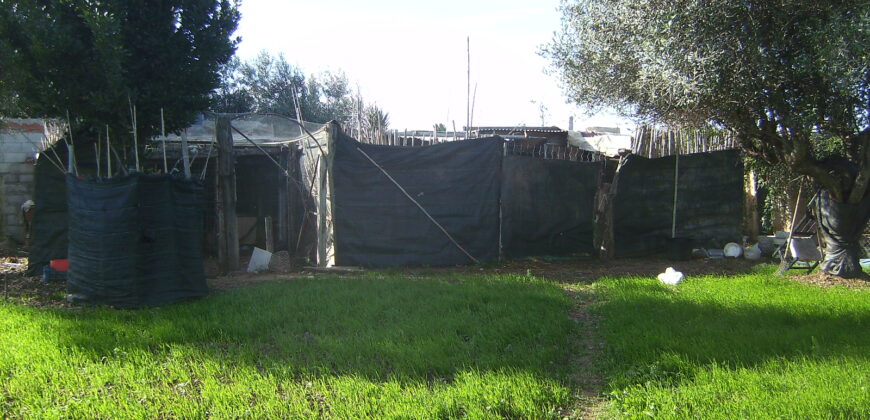 FINCA CON CASA EN VINARÒS