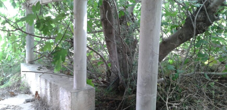 FINCA EN VINARÒS CON LUZ Y AGUA DE POZO PROPIO