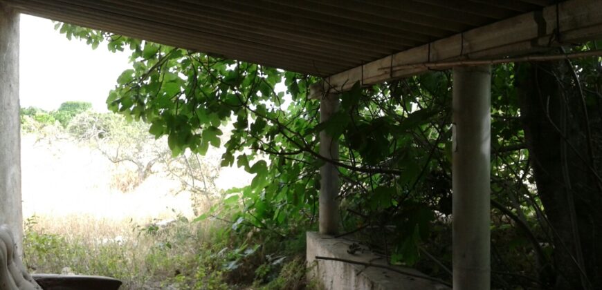 FINCA EN VINARÒS CON LUZ Y AGUA DE POZO PROPIO