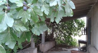 FINCA EN VINARÒS CON LUZ Y AGUA DE POZO PROPIO