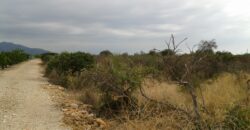 FINCA EN VINARÒS CON LUZ Y AGUA DE POZO PROPIO