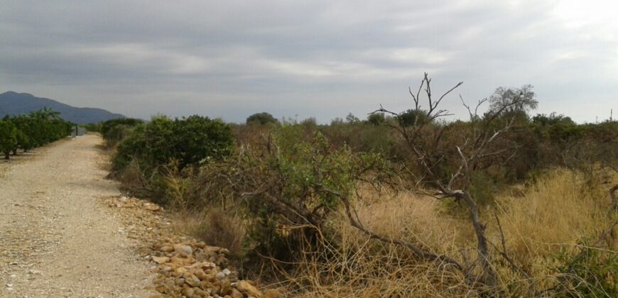 FINCA EN VINARÒS CON LUZ Y AGUA DE POZO PROPIO