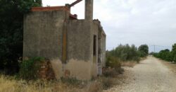 FINCA EN VINARÒS CON LUZ Y AGUA DE POZO PROPIO