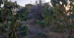 TERRENO SOLAR  CON AGUA EN VINARÒS