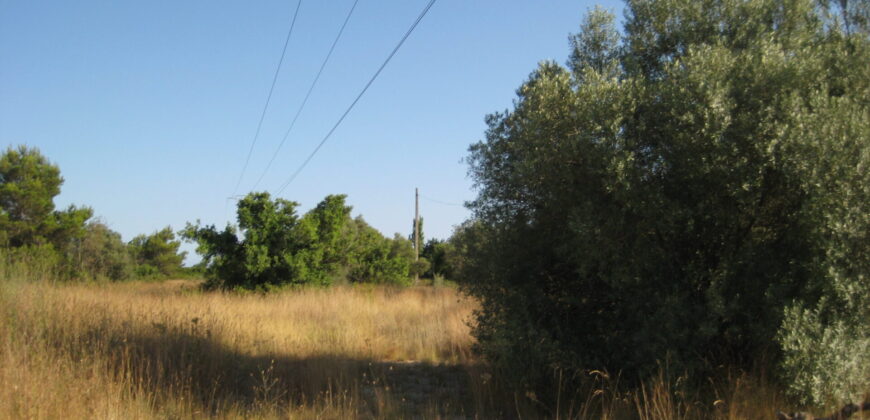 GRAN FINCA RUSTICA TERMINO DE VINARÒS