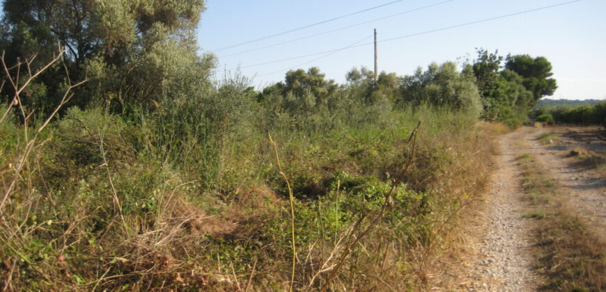 GRAN FINCA RUSTICA TERMINO DE VINARÒS