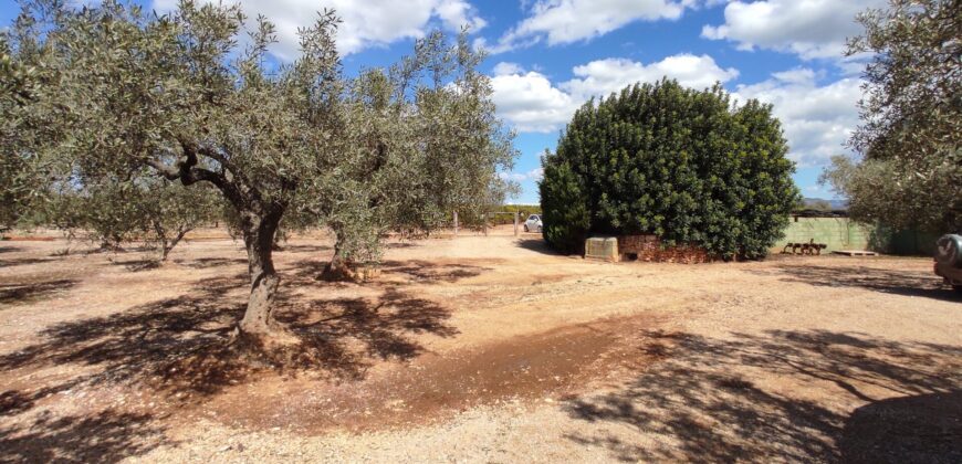 FINCA RÚSTICA