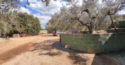 FINCA RÚSTICA