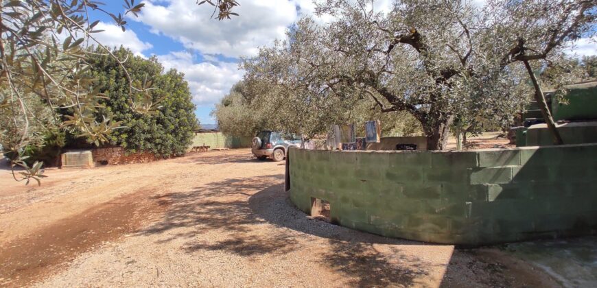 FINCA RÚSTICA