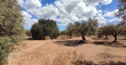 FINCA RÚSTICA