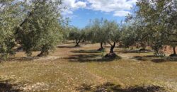 FINCA RÚSTICA