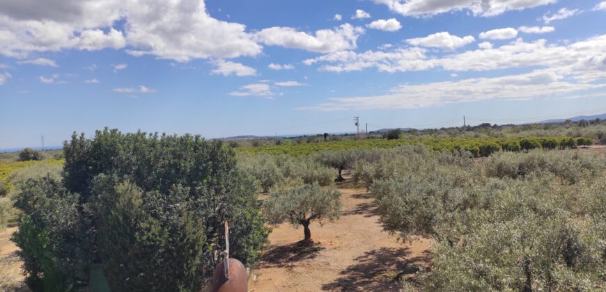 FINCA RÚSTICA
