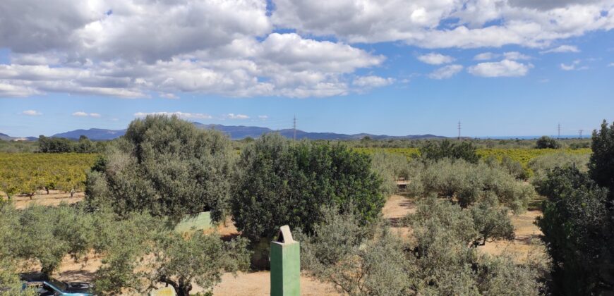 FINCA RÚSTICA