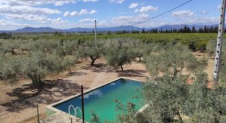 FINCA RÚSTICA