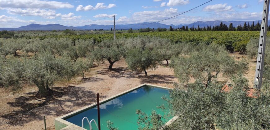 FINCA RÚSTICA