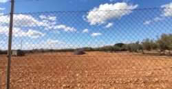 FINCA RÚSTICA