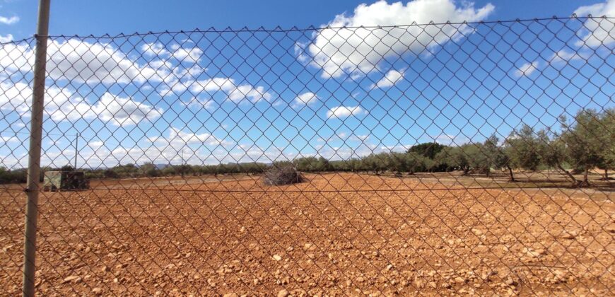 FINCA RÚSTICA