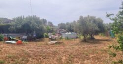 FINCA RÚSTICA