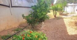 FINCA RÚSTICA