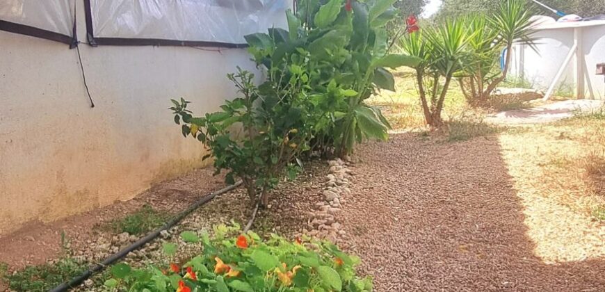 FINCA RÚSTICA