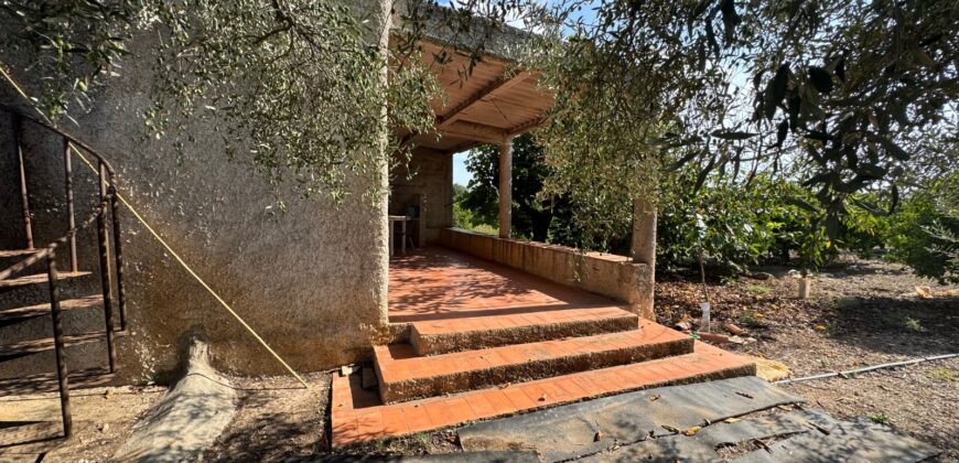 FINCA CON VIVIENDA