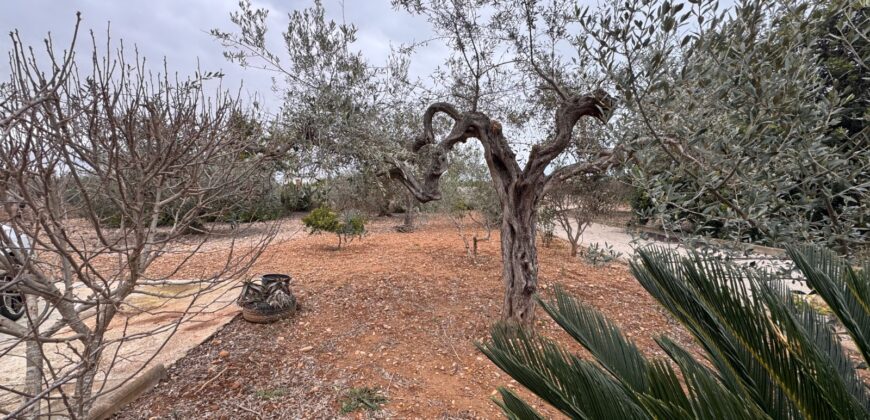 CHALET CON 7757 M² DE PARCELA