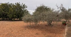 CHALET CON 7757 M² DE PARCELA