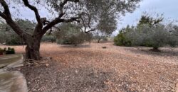 CHALET CON 7757 M² DE PARCELA