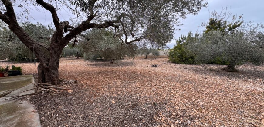 CHALET CON 7757 M² DE PARCELA