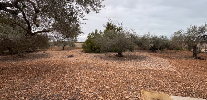 CHALET CON 7757 M² DE PARCELA