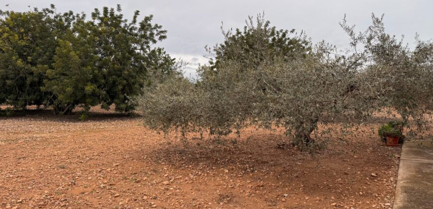 CHALET CON 7757 M² DE PARCELA