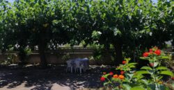 APARTAMENTO EN COSTA NORTE