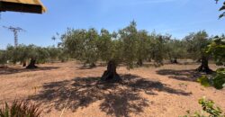 FINCA RÚSTICA EN VINARÒS