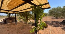 FINCA RÚSTICA EN VINARÒS