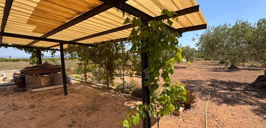 FINCA RÚSTICA EN VINARÒS