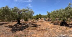FINCA RÚSTICA EN VINARÒS