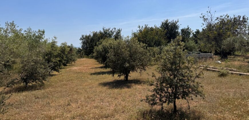 FINCA RÚSTICA EN VINARÒS