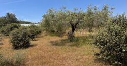 FINCA RÚSTICA EN VINARÒS