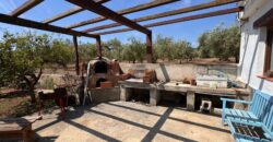 FINCA RÚSTICA EN VINARÒS