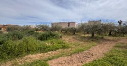 FINCA RÚSTICA EN VINARÒS
