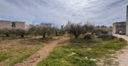 FINCA RÚSTICA EN VINARÒS