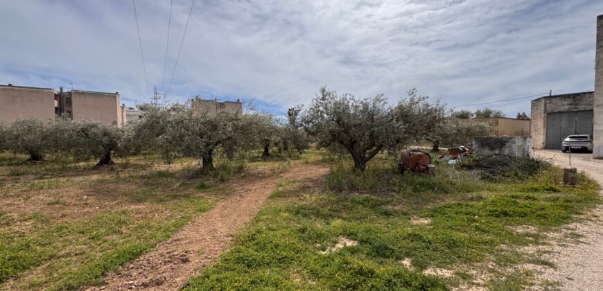 FINCA RÚSTICA EN VINARÒS