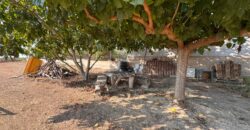 FINCA A 15 MIN VINAROS