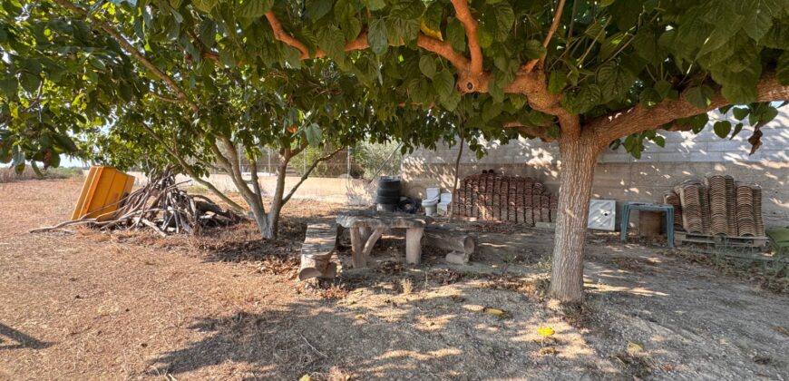 FINCA A 15 MIN VINAROS