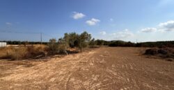 FINCA A 15 MIN VINAROS