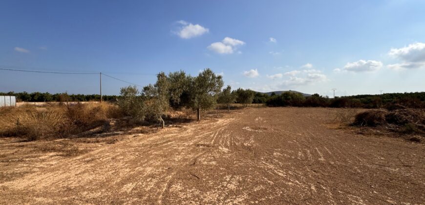 FINCA A 15 MIN VINAROS