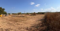 FINCA A 15 MIN VINAROS