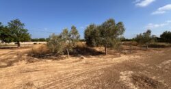 FINCA A 15 MIN VINAROS