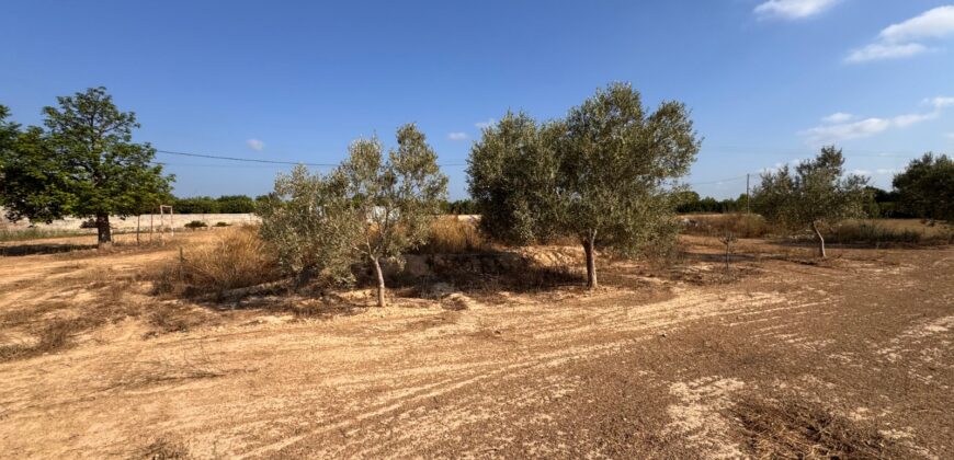 FINCA A 15 MIN VINAROS